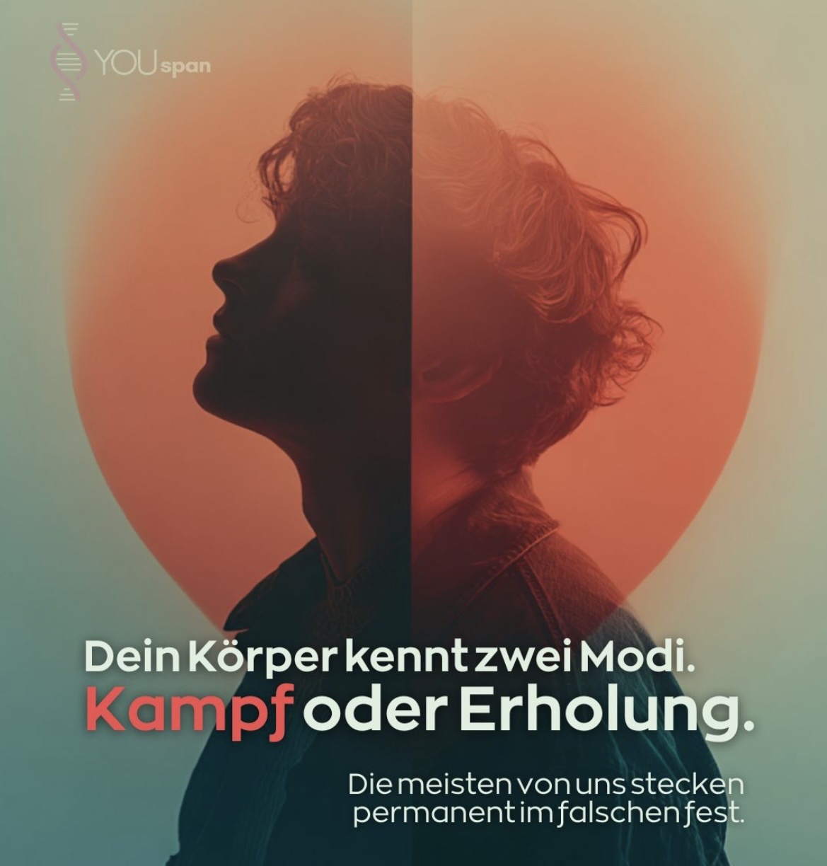 Dauerstress & Cortisol: Was chronischer Stress wirklich mit deinem Körper macht